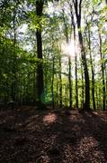 ../galleries/2019.08.29_Müritz_-_Tag_7/DSC_4321.thumbnail.jpg