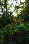 ../galleries/2019.08.29_Müritz_-_Tag_7/DSC_4339.thumbnail.jpg