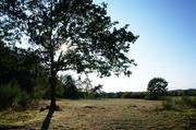 ../galleries/2019.08.29_Müritz_-_Tag_7/DSC_4358.thumbnail.jpg