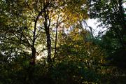 ../galleries/2019.08.29_Müritz_-_Tag_7/DSC_4360.thumbnail.jpg