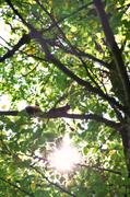 ../galleries/2019.08.31_Müritz_-_Tag_9/DSC_4422.thumbnail.jpg