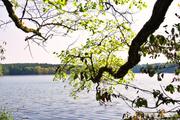 ../galleries/2019.08.31_Müritz_-_Tag_9/DSC_4423.thumbnail.jpg
