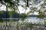 ../galleries/2019.08.31_Müritz_-_Tag_9/DSC_4425.thumbnail.jpg