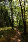 ../galleries/2019.08.31_Müritz_-_Tag_9/DSC_4429.thumbnail.jpg