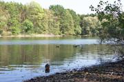 ../galleries/2019.08.31_Müritz_-_Tag_9/DSC_4431.thumbnail.jpg