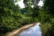 ../galleries/2019.08.31_Müritz_-_Tag_9/DSC_4436.thumbnail.jpg