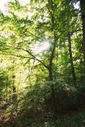 ../galleries/2019.09.19_Weender_Wald/DSC_2256.thumbnail.jpg