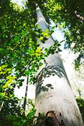 ../galleries/2019.09.19_Weender_Wald/DSC_2257.thumbnail.jpg