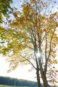 ../galleries/2019.10.13_Herberhausen/DSC_2411.thumbnail.jpg
