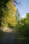 ../galleries/2019.10.13_Herberhausen/DSC_2421.thumbnail.jpg