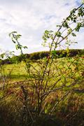 ../galleries/2019.10.13_Herberhausen/DSC_2435.thumbnail.jpg