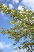 ../galleries/2019.10.13_Herberhausen/DSC_2438.thumbnail.jpg