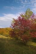 ../galleries/2019.10.13_Herberhausen/DSC_2448.thumbnail.jpg