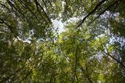 ../galleries/2019.10.26_Iserlohn/DSC_2693.thumbnail.jpg
