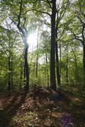 ../galleries/2019.10.26_Iserlohn/DSC_2694.thumbnail.jpg