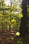 ../galleries/2019.10.26_Iserlohn/DSC_2695.thumbnail.jpg