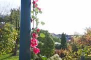 ../galleries/2019.10.26_Iserlohn/DSC_2712.thumbnail.jpg
