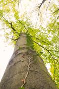 ../galleries/2019.11.03_Weender_Wald/DSC_2715.thumbnail.jpg