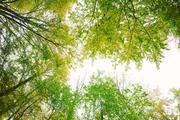 ../galleries/2019.11.03_Weender_Wald/DSC_2718.thumbnail.jpg