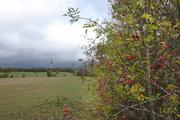 ../galleries/2019.11.03_Weender_Wald/DSC_2763.thumbnail.jpg