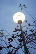 ../galleries/2019.11.08_Spaziergang_übern_Nordcampus/DSC_2785.thumbnail.jpg