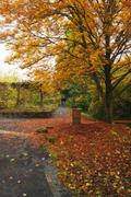 ../galleries/2019.11.09_Botanischer_Garten/DSC_2794.thumbnail.jpg