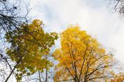 ../galleries/2019.11.09_Botanischer_Garten/DSC_2808.thumbnail.jpg