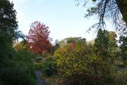 ../galleries/2019.11.09_Botanischer_Garten/DSC_2809.thumbnail.jpg
