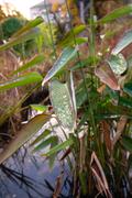 ../galleries/2019.11.09_Botanischer_Garten/DSC_2829.thumbnail.jpg