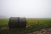 ../galleries/2019.11.10_Roronger_Berg_im_Nebel_mit_Annika/DSC_2838.thumbnail.jpg