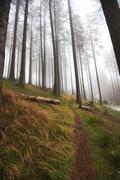 ../galleries/2019.11.16_Harz_Lonau/DSC_2898.thumbnail.jpg