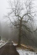 ../galleries/2019.11.16_Harz_Lonau/DSC_2904.thumbnail.jpg