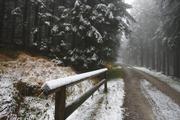 ../galleries/2019.11.16_Harz_Lonau/DSC_2912.thumbnail.jpg