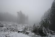 ../galleries/2019.11.16_Harz_Lonau/DSC_2914.thumbnail.jpg
