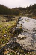 ../galleries/2019.12.14_Herberhausen/DSC_3344.thumbnail.jpg
