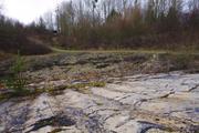 ../galleries/2019.12.14_Herberhausen/DSC_3346.thumbnail.jpg