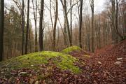 ../galleries/2019.12.14_Herberhausen/DSC_3357.thumbnail.jpg