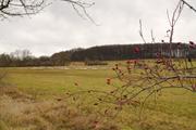 ../galleries/2019.12.14_Herberhausen/DSC_3384.thumbnail.jpg