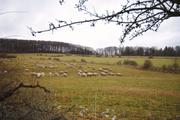 ../galleries/2019.12.14_Herberhausen/DSC_3387.thumbnail.jpg