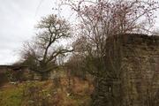 ../galleries/2019.12.14_Herberhausen/DSC_3396.thumbnail.jpg