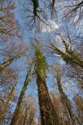 ../galleries/2019.12.15_Spaziergang_in_Weende/DSC_3423.thumbnail.jpg