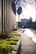 ../galleries/2019.12.15_Spaziergang_in_Weende/DSC_3464.thumbnail.jpg