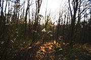 ../galleries/2019.12.29_Niedernhausen/DSC_3570.thumbnail.jpg