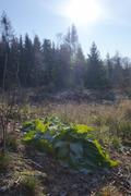 ../galleries/2019.12.29_Niedernhausen/DSC_3585.thumbnail.jpg