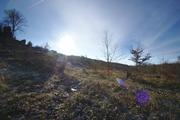 ../galleries/2019.12.29_Niedernhausen/DSC_3591.thumbnail.jpg