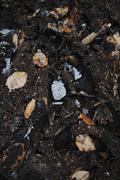 ../galleries/2019.12.29_Niedernhausen/DSC_3653.thumbnail.jpg