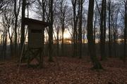../galleries/2019.12.29_Niedernhausen/DSC_3665.thumbnail.jpg