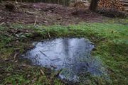 ../galleries/2019.12.29_Niedernhausen/DSC_3670.thumbnail.jpg