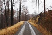 ../galleries/2020.01.04_Harzwochenend_Tag_3_-_Ilsetal/DSC_3975.thumbnail.jpg