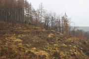 ../galleries/2020.01.04_Harzwochenend_Tag_3_-_Ilsetal/DSC_3976.thumbnail.jpg